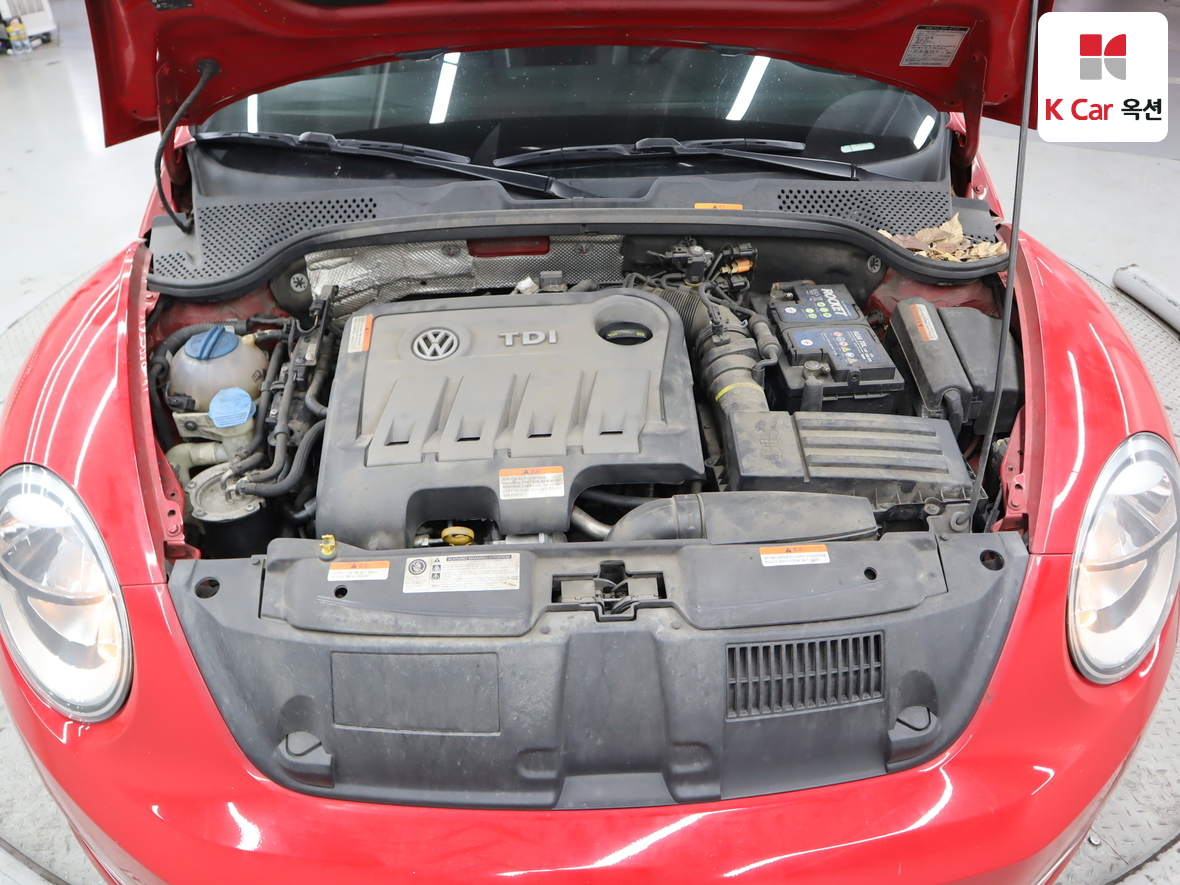 Volkswagen The Beetle - 29