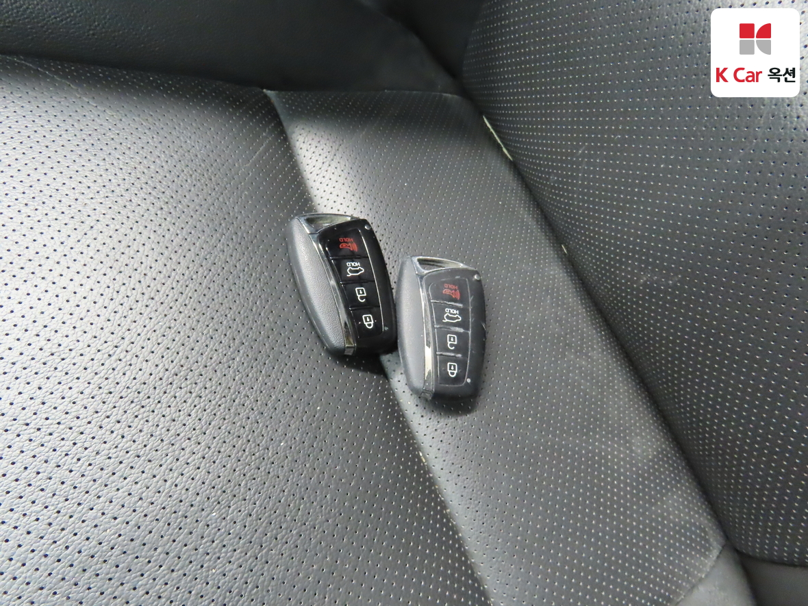 Hyundai Santa Fe - 17