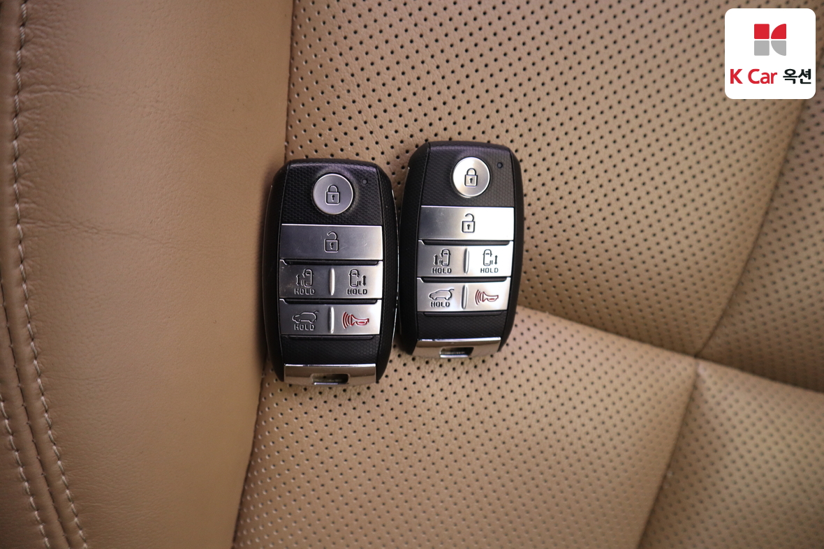 Kia New Carnival - 18