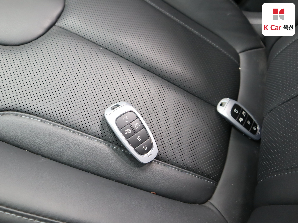 Hyundai SANTAFE - 17