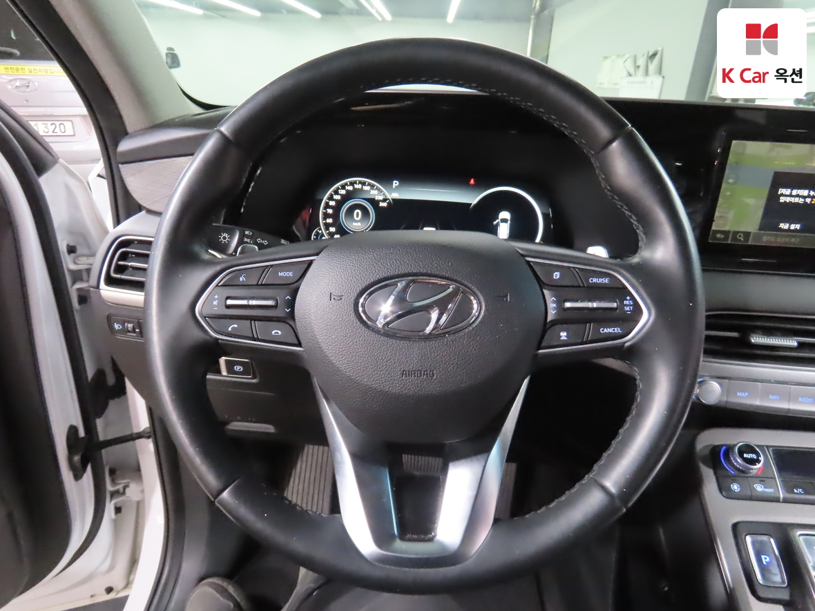 Hyundai Palisade - 10