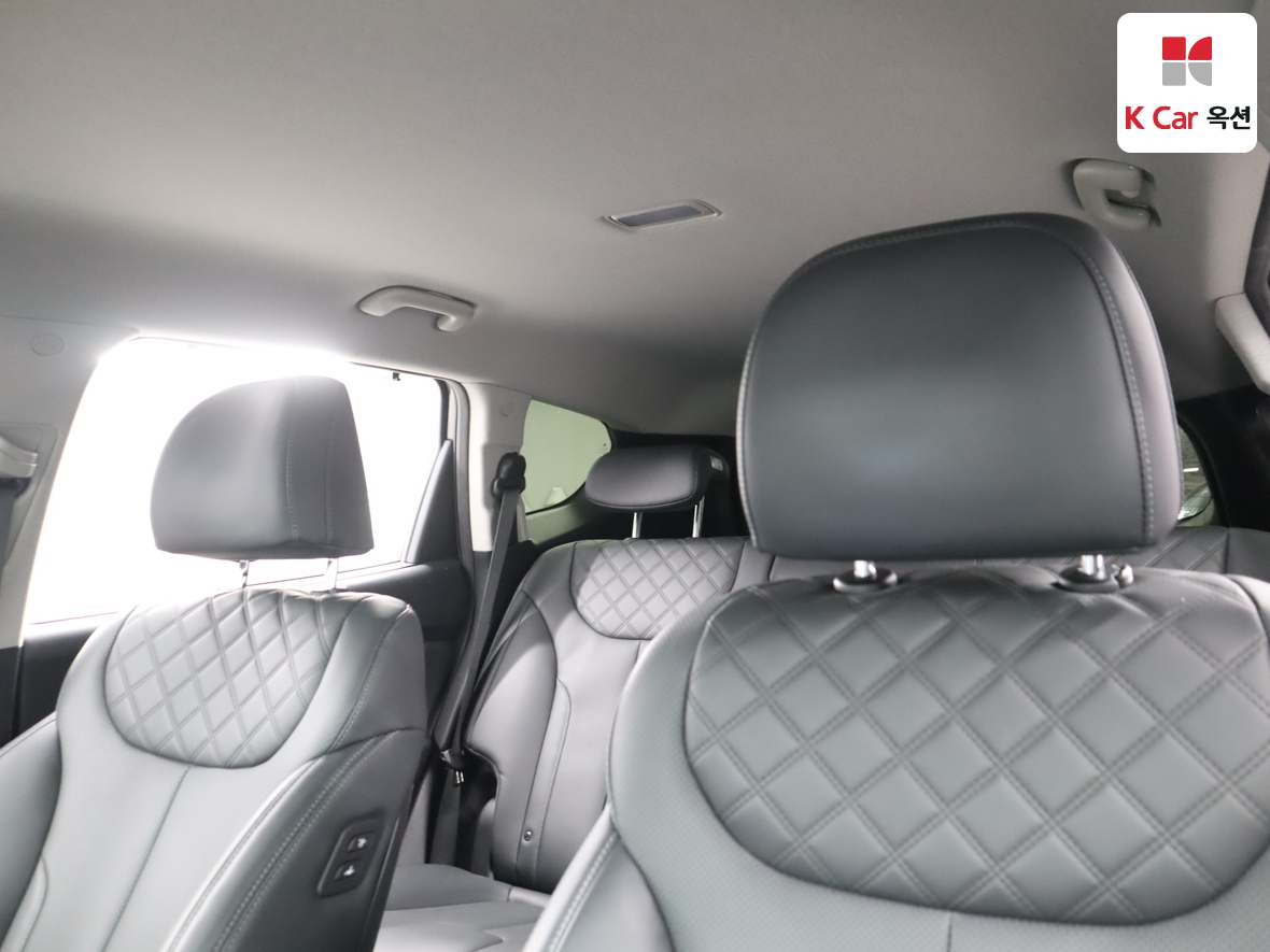 Hyundai SANTAFE - 19