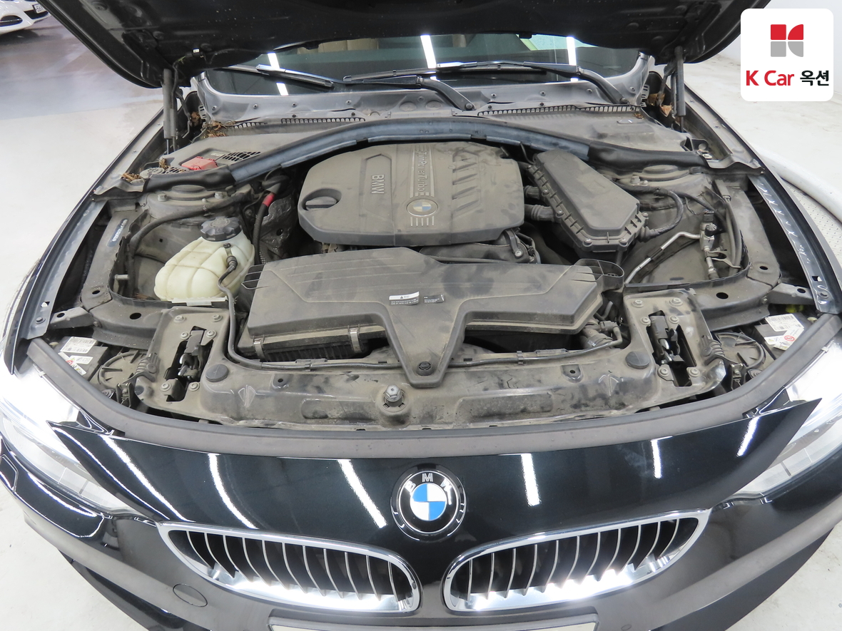 BMW 4 시리즈 - 30