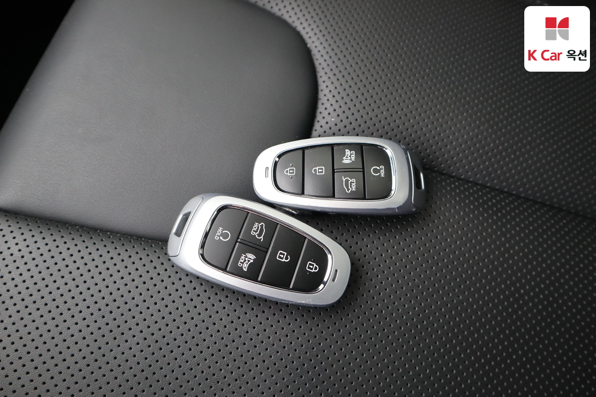 Hyundai SANTAFE - 17