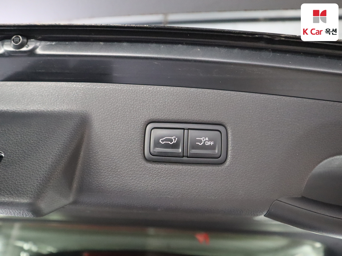 Kia Carnival - 26