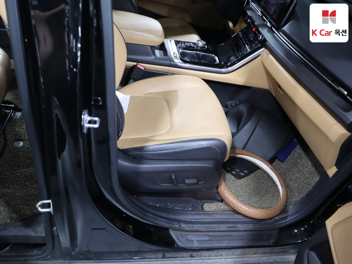 Kia Carnival - 29