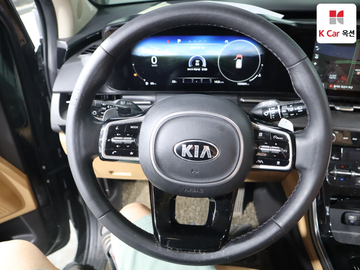 Kia Carnival - 10