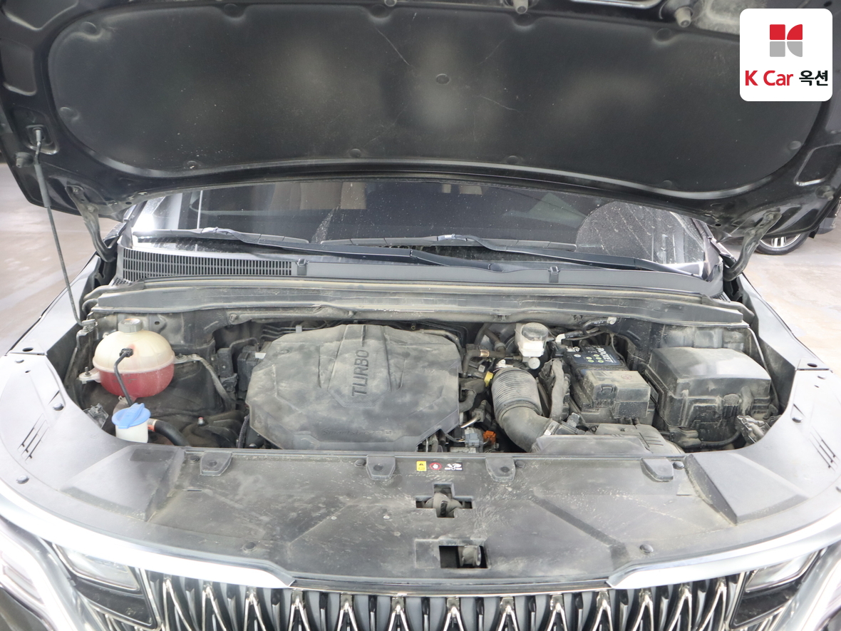Kia Carnival - 32