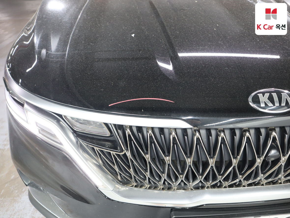 Kia Carnival - 35