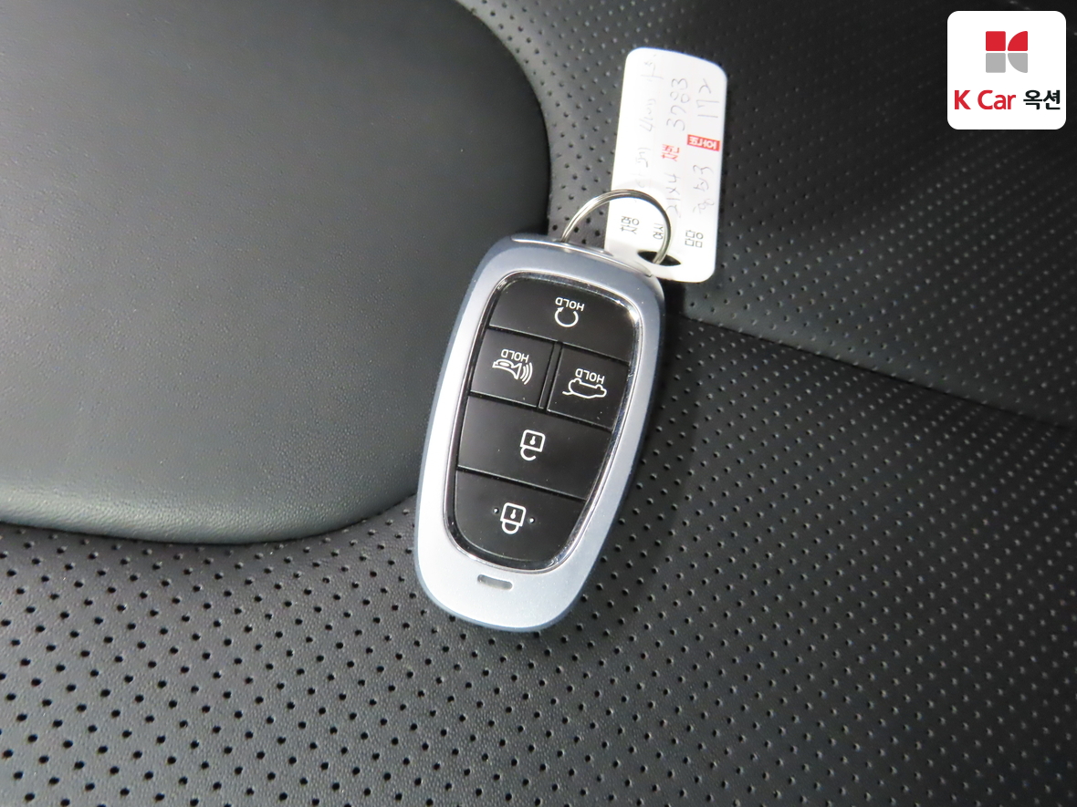 Hyundai SANTAFE - 17