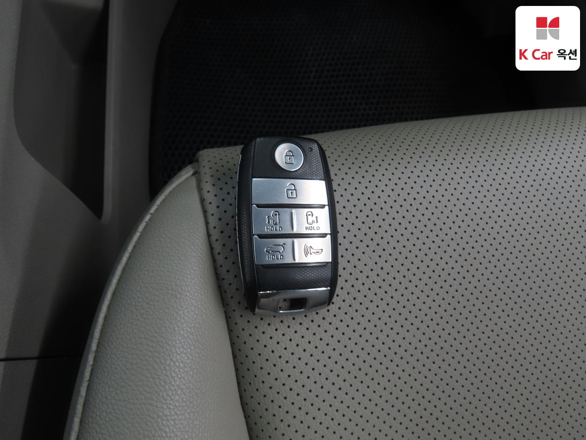 Kia New Carnival - 17