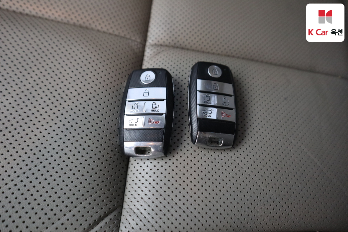 Kia New Carnival - 18