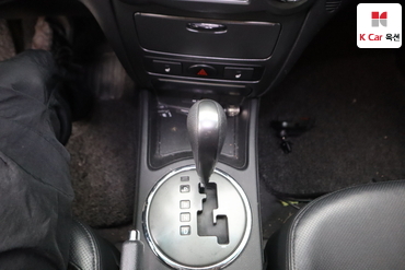 2010 - kia roche