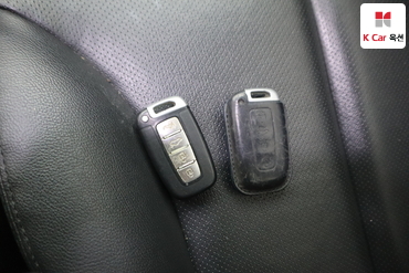 2010 - kia roche