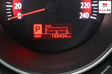 2010 - kia roche
