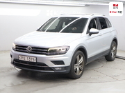 VOLKSWAGEN 티구안