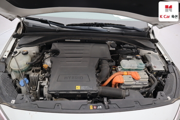 2019 - hyundai ioniq