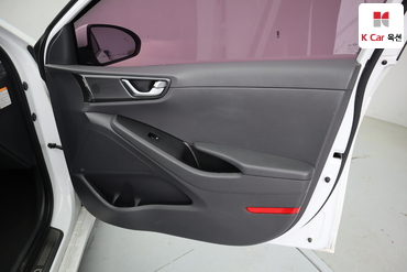 2019 - hyundai ioniq
