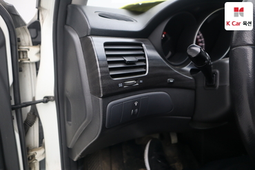 2010 - kia roche