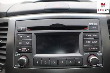 2010 - kia roche