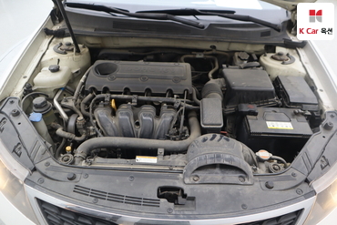 2010 - kia roche