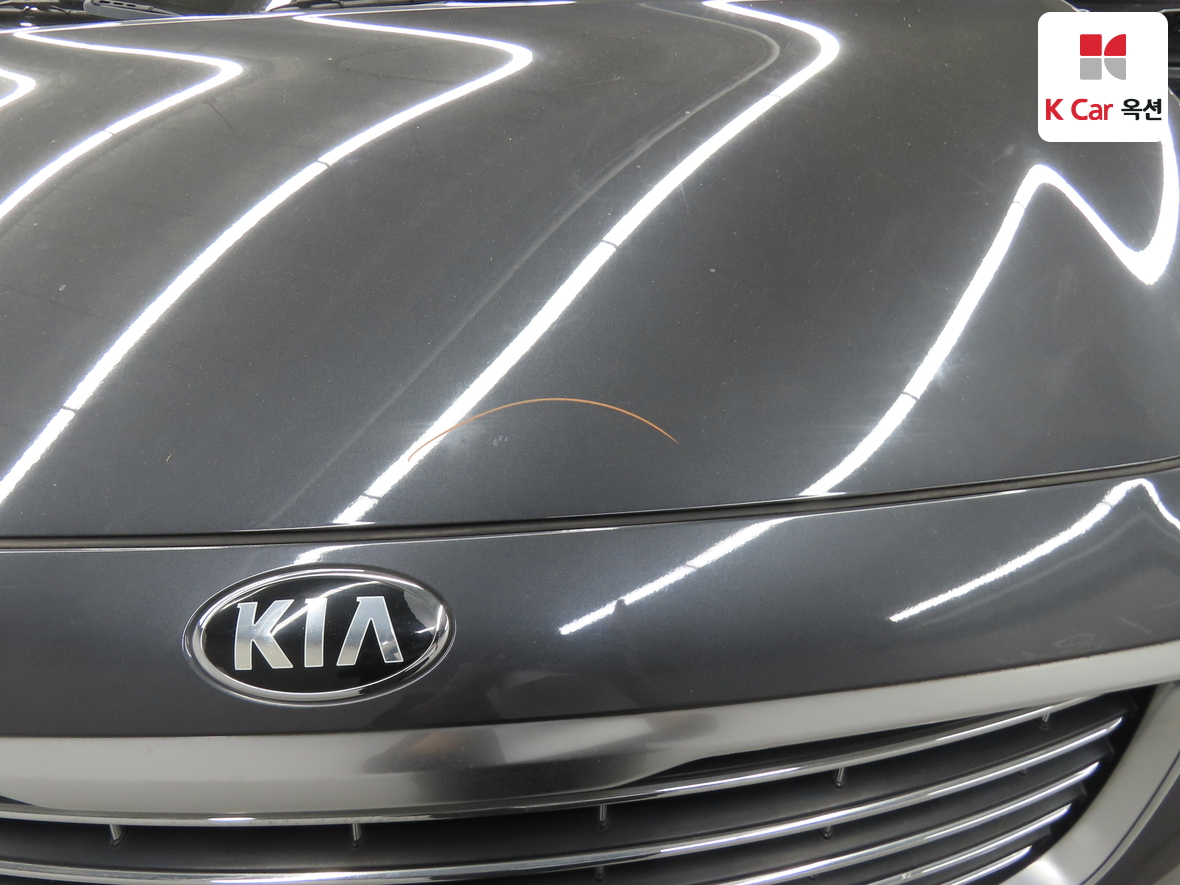 Kia New Carnival - 39