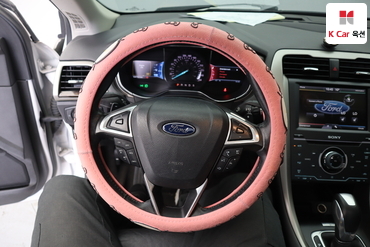 2014 - ford fusion