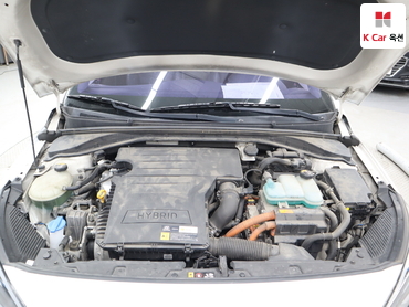 2016 - hyundai ioniq