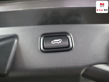 2024 - kia niro