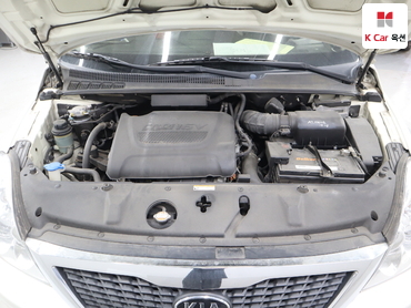 2012 - kia carnival