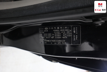 2014 - kia carnival