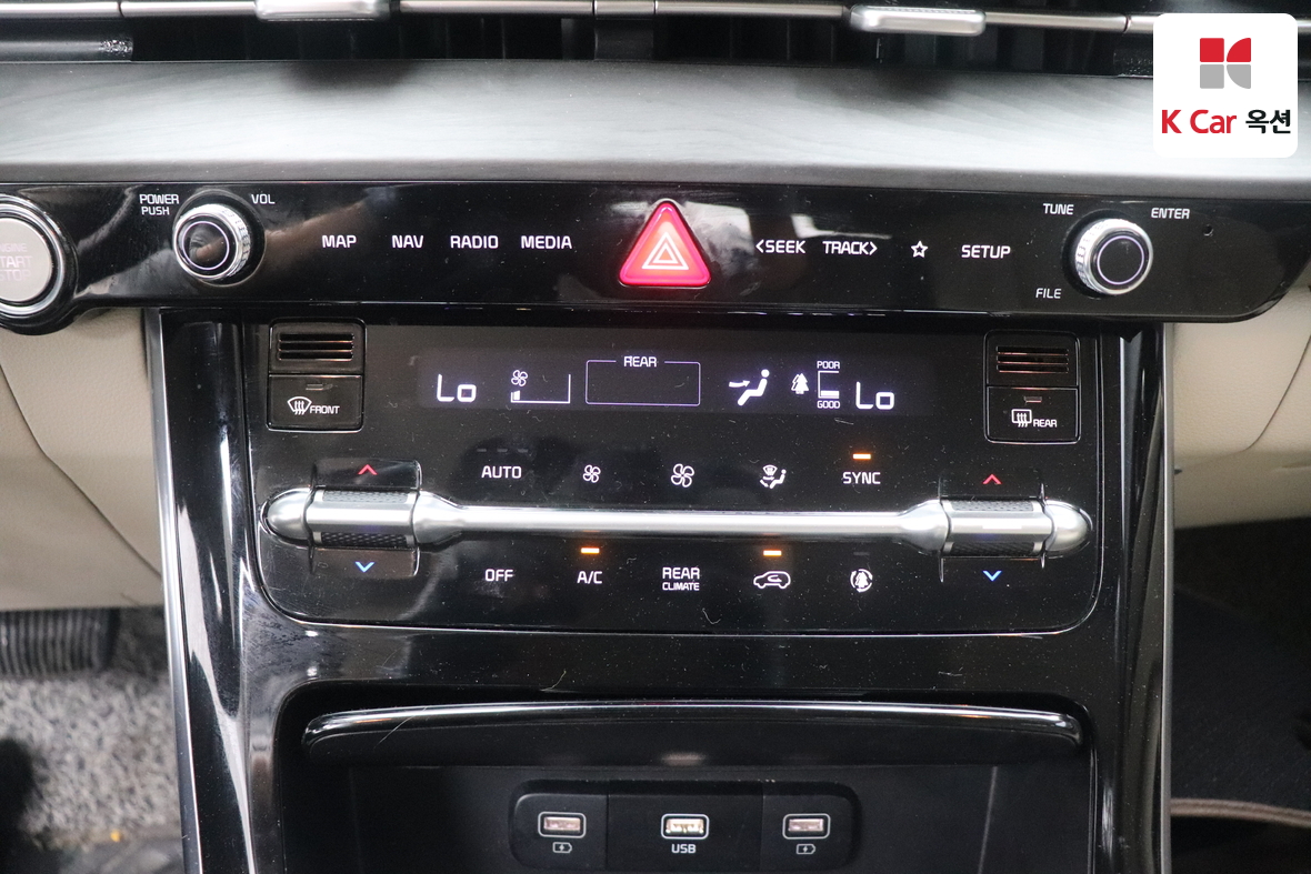Kia Carnival - 15