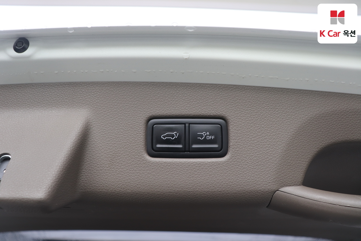 Kia Carnival - 28