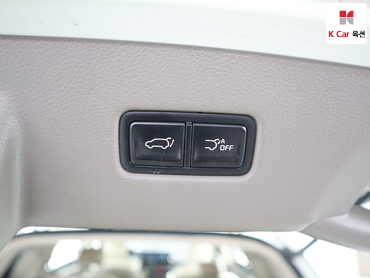 2021 - kia carnival