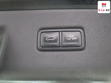 2021 - kia carnival