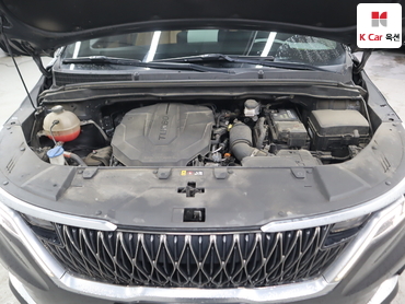 2021 - kia carnival