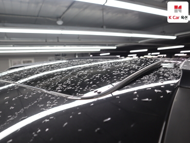 2021 - kia carnival