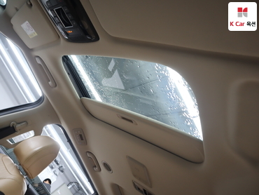 2021 - kia carnival