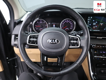 2021 - kia carnival