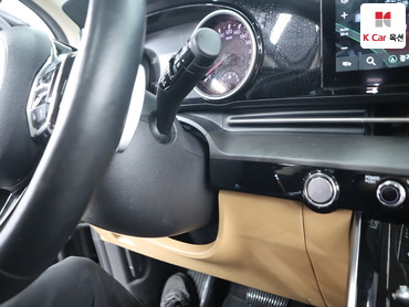 2021 - kia carnival