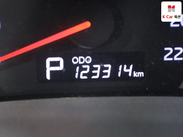 2012 - kia carnival