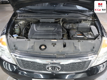 2012 - kia carnival