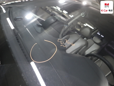 2012 - kia carnival