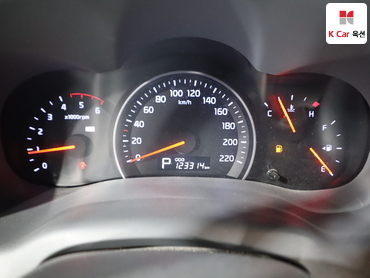 2012 - kia carnival