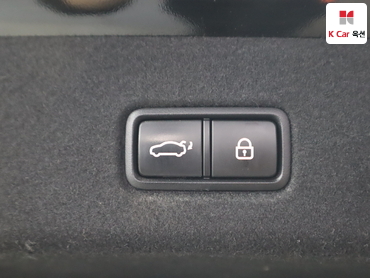 2019 - kia k9