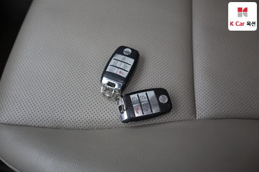 2015 - kia carnival