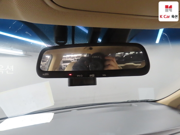 2018 - kia carnival