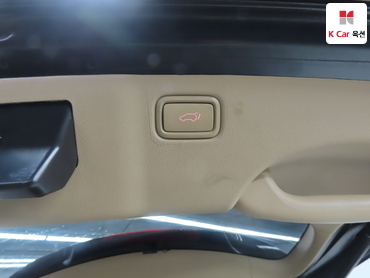 2018 - kia carnival
