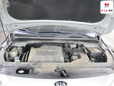 2018 - kia carnival