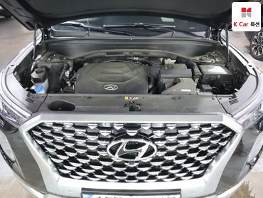 2022 - hyundai palisade